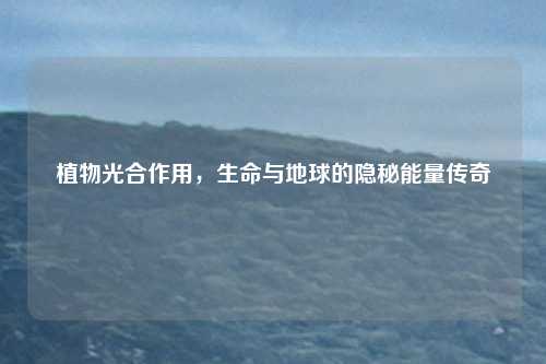 植物光合作用，生命与地球的隐秘能量传奇