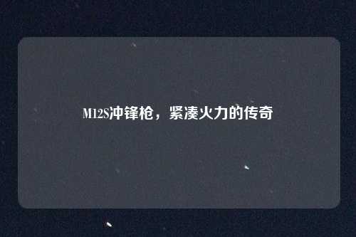 M12S冲锋枪，紧凑火力的传奇