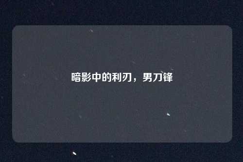 暗影中的利刃，男刀锋