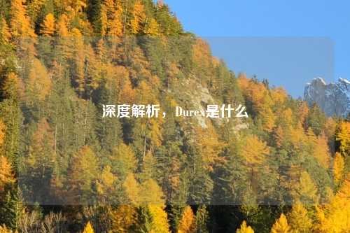 深度解析，Durex是什么