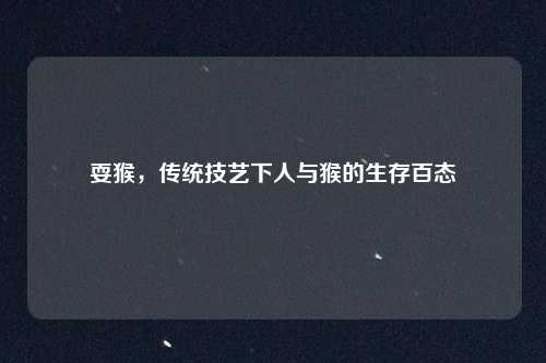 耍猴，传统技艺下人与猴的生存百态