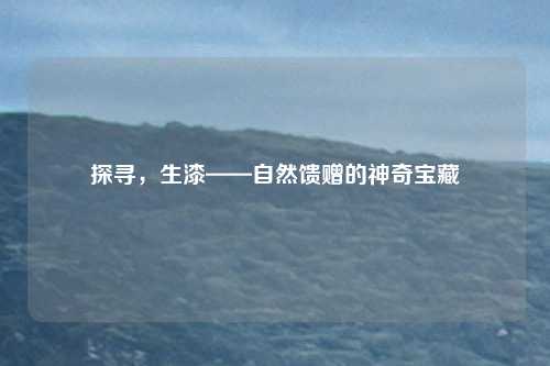 探寻，生漆——自然馈赠的神奇宝藏