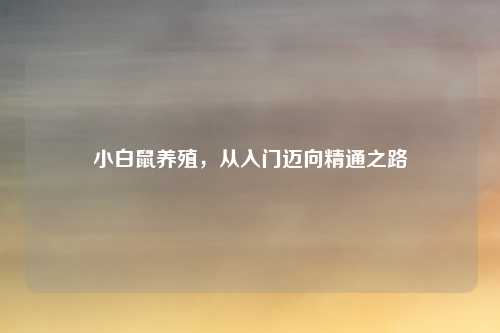 小白鼠养殖，从入门迈向精通之路