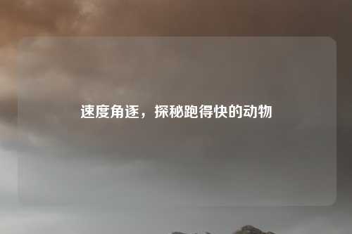 速度角逐，探秘跑得快的动物