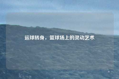 运球转身,篮球场上的灵动艺术