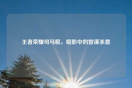 王者荣耀司马懿，暗影中的智谋杀意