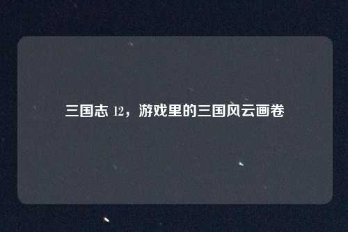 三国志 12，游戏里的三国风云画卷