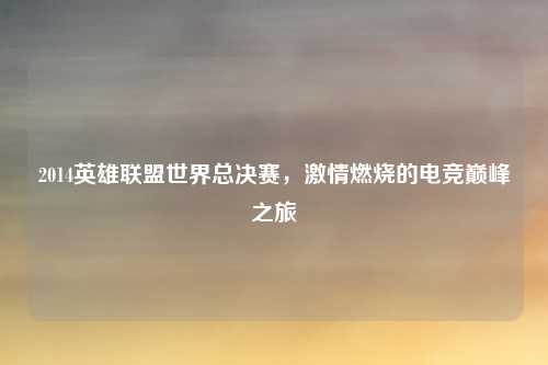 2014英雄联盟世界总决赛，激情燃烧的电竞巅峰之旅