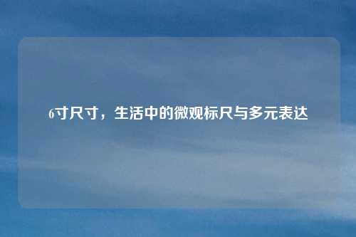 6寸尺寸，生活中的微观标尺与多元表达