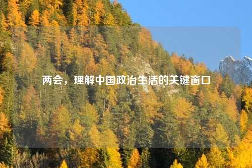 两会，理解中国政治生活的关键窗口