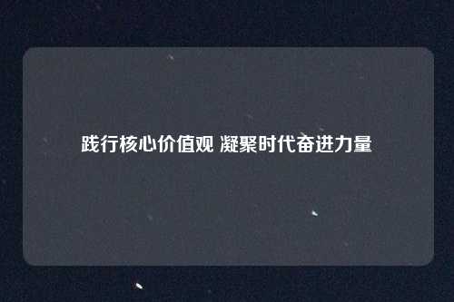 践行核心价值观 凝聚时代奋进力量