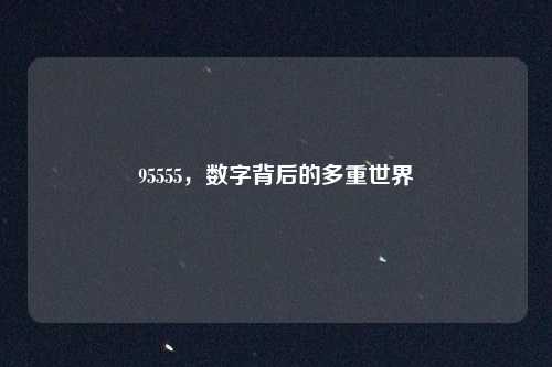 95555，数字背后的多重世界