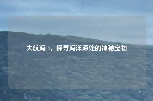 大航海 4，探寻海洋深处的神秘宝物