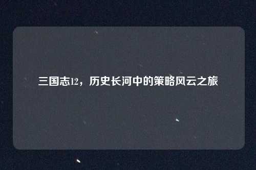 三国志12，历史长河中的策略风云之旅