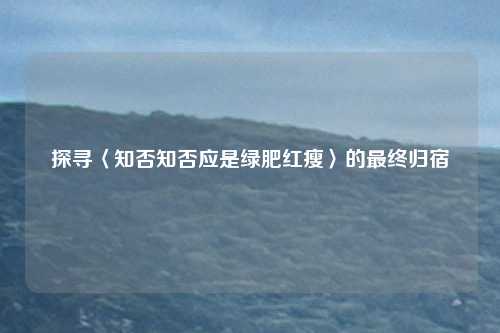 探寻〈知否知否应是绿肥红瘦〉的最终归宿