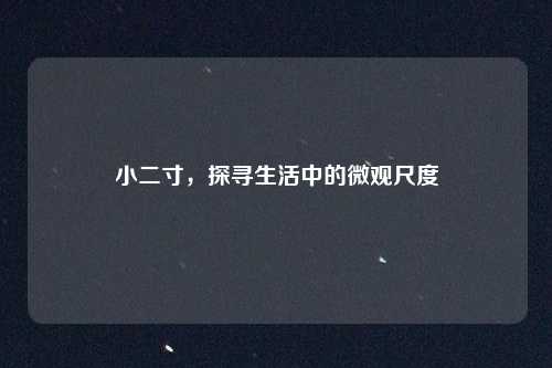 小二寸，探寻生活中的微观尺度