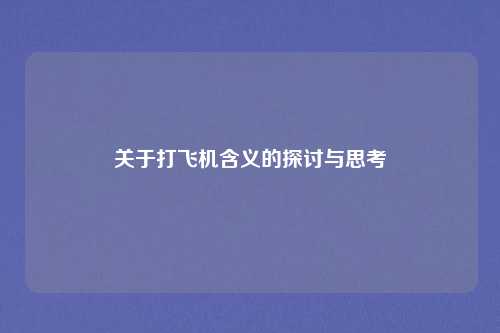 关于打飞机含义的探讨与思考