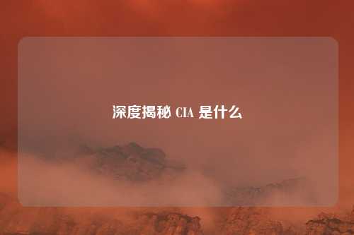 深度揭秘 CIA 是什么