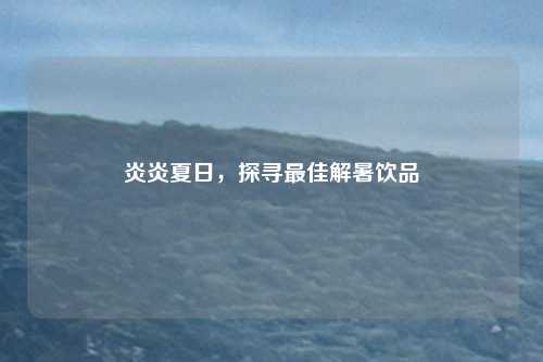 炎炎夏日，探寻最佳解暑饮品