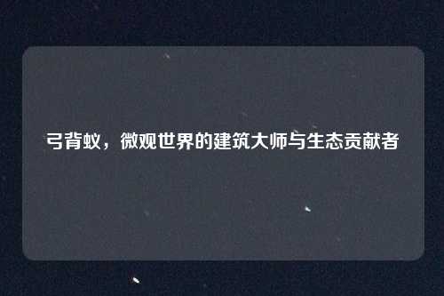 弓背蚁，微观世界的建筑大师与生态贡献者