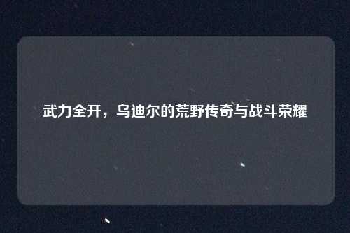 武力全开,乌迪尔的荒野传奇与战斗荣耀