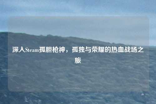 深入Steam孤胆枪神，孤独与荣耀的热血战场之旅