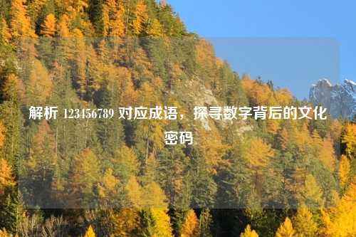 解析 123456789 对应成语，探寻数字背后的文化密码