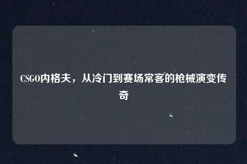 CSGO内格夫，从冷门到赛场常客的枪械演变传奇