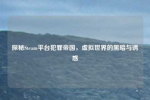探秘Steam平台犯罪帝国，虚拟世界的黑暗与诱惑