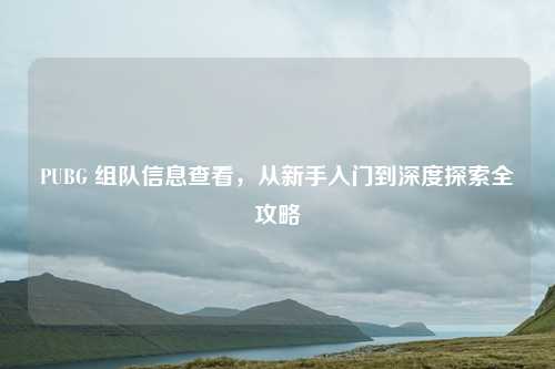 PUBG 组队信息查看，从新手入门到深度探索全攻略