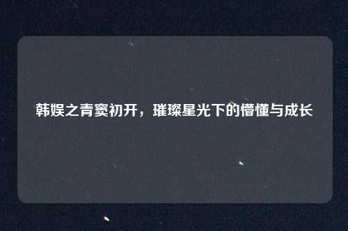 韩娱之青窦初开，璀璨星光下的懵懂与成长