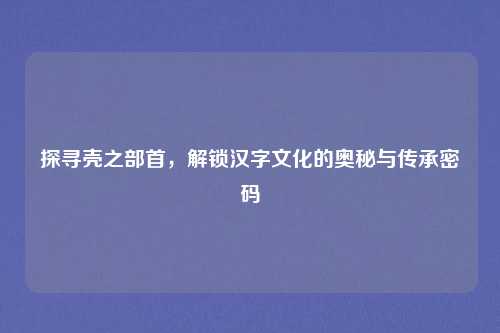 探寻壳之部首，解锁汉字文化的奥秘与传承密码
