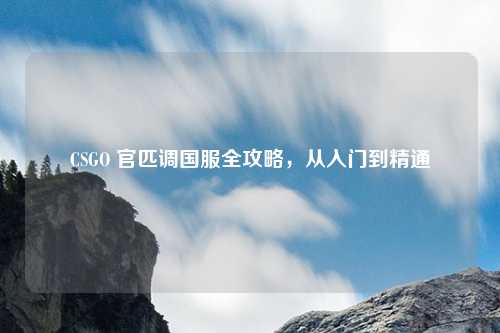 CSGO 官匹调国服全攻略，从入门到精通