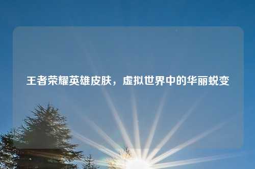 王者荣耀英雄皮肤，虚拟世界中的华丽蜕变