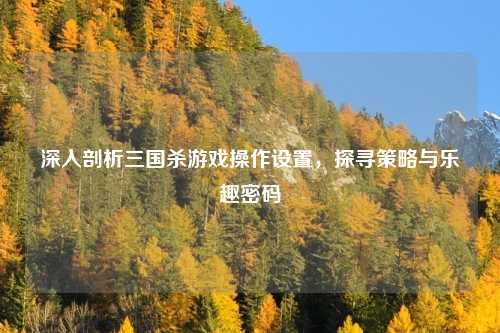 深入剖析三国杀游戏操作设置，探寻策略与乐趣密码