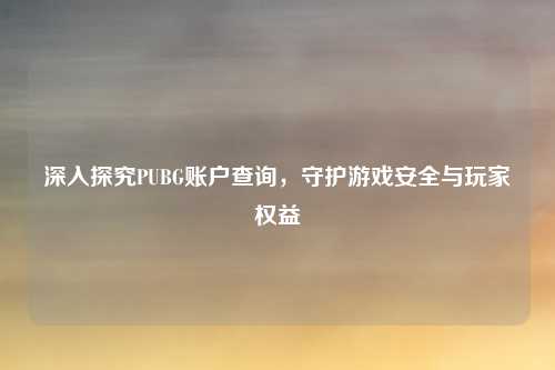 深入探究PUBG账户查询，守护游戏安全与玩家权益