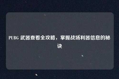 PUBG 武器查看全攻略，掌握战场利器信息的秘诀