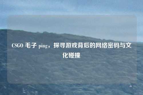 CSGO 毛子 ping，探寻游戏背后的网络密码与文化碰撞