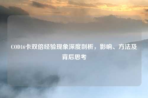 COD16卡双倍经验现象深度剖析，影响、方法及背后思考