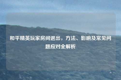 和平精英玩家房间退出，方法、影响及常见问题应对全解析