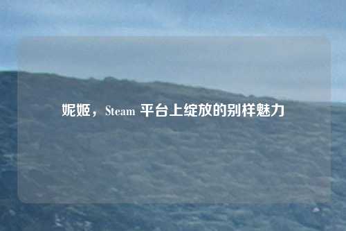 妮姬，Steam 平台上绽放的别样魅力