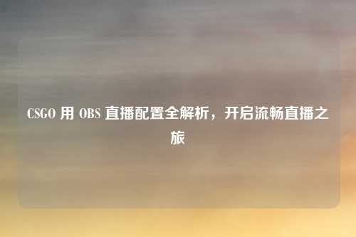 CSGO 用 OBS 直播配置全解析，开启流畅直播之旅