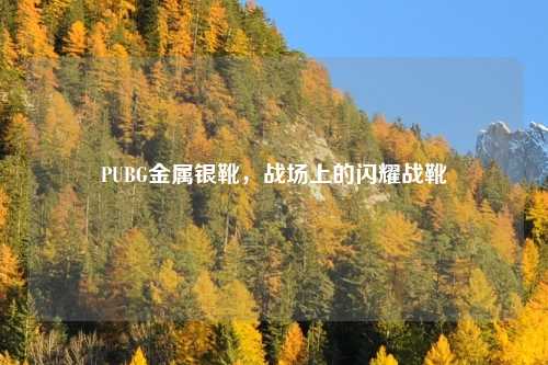 PUBG金属银靴，战场上的闪耀战靴