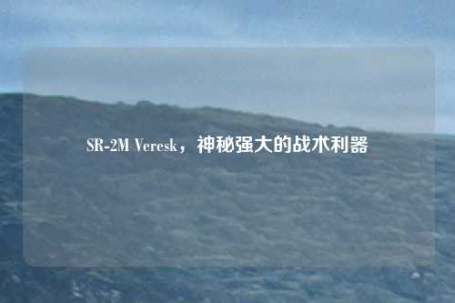 SR-2M Veresk，神秘强大的战术利器