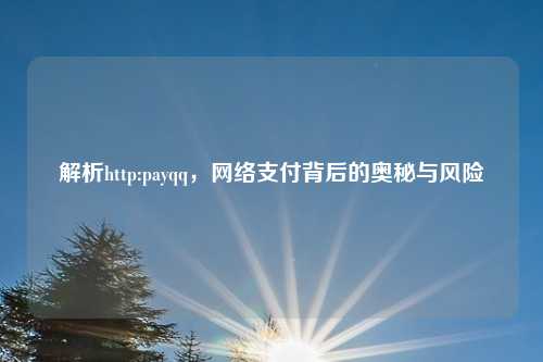 解析http:payqq，网络支付背后的奥秘与风险