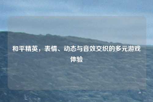 和平精英，表情、动态与音效交织的多元游戏体验