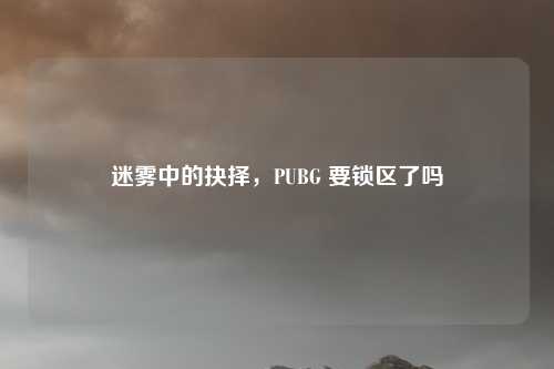 迷雾中的抉择，PUBG 要锁区了吗