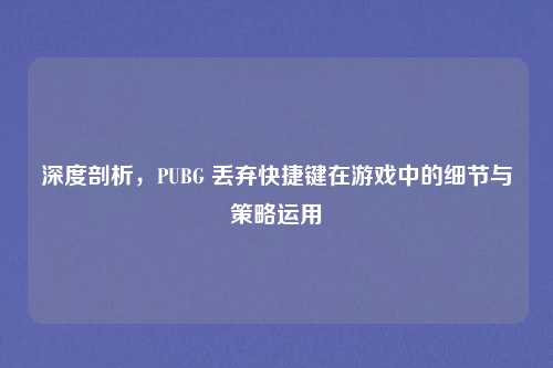 深度剖析，PUBG 丢弃快捷键在游戏中的细节与策略运用