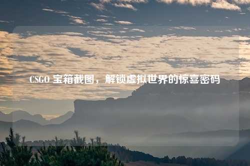 CSGO 宝箱截图，解锁虚拟世界的惊喜密码