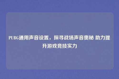 PUBG通用声音设置，探寻战场声音奥秘 助力提升游戏竞技实力